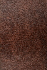 texture of natural aniline leather