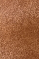 texture of natural aniline leather
