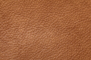 texture of natural aniline leather