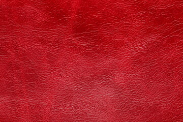 texture of natural aniline leather