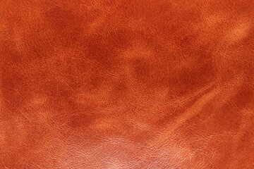 texture of natural aniline leather