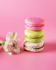 Macarons of Different Color on Pink Background Vertical