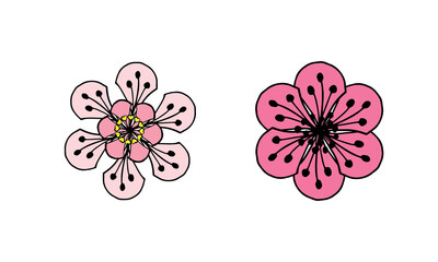 Set of floral elements of cherry blossom, sakura blossom, vector drawing with black outline and colorful fill.