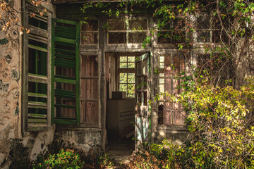 Fototapeta na wymiar abandoned house in the forest