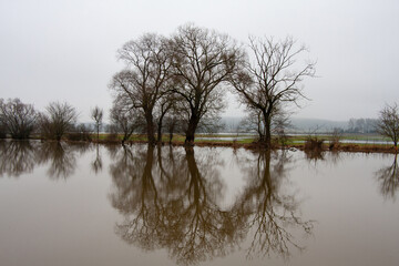 Fototapeta na wymiar Donauhochwasser bei Daugendorf in der Nähe von Riedlingen