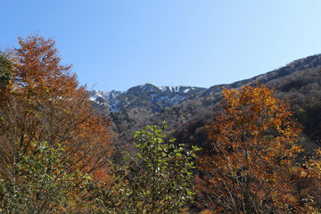 白山登山口・別当出合の紅葉と雪化粧の山並み（石川県白山市）