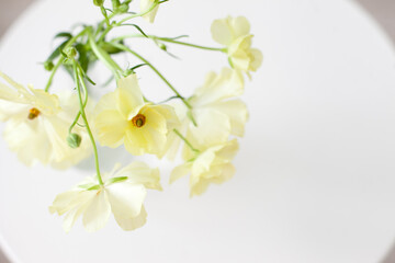 bouquet of pastel yellow flowers on white table