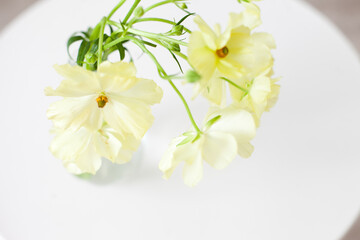 bouquet of pastel yellow flowers on white table closeup