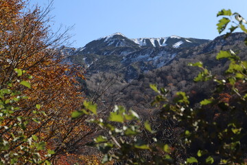 白山登山口・別当出合の紅葉と雪化粧の山並み（石川県白山市）