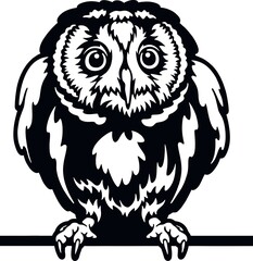 Peeking Owl - Funny Wild Animal peeking out - face head isolated on white