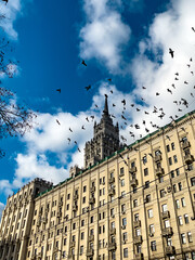 A flock of birds flies over the roof of building in Moscow, background blue sky