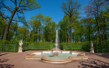 Summer garden on a sunny day. A picturesque place in the middle of the city. Amazing architecture. Attraction of the city of St. Petersburg. Tourism.