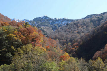 白山登山口・別当出合の紅葉と雪化粧の山並み（石川県白山市）