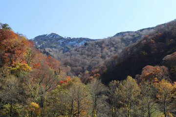 白山登山口・別当出合の紅葉と雪化粧の山並み（石川県白山市）