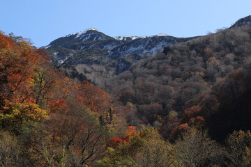 白山登山口・別当出合の紅葉と雪化粧の山並み（石川県白山市）