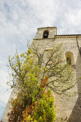 Santa Maria Arabona is an abbey dating from the late twelfth century belongs to the municipality of...