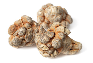 Dried herb, notoginseng roots isolated on white background