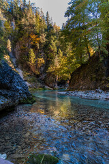 Autumn and colors of nature in the Tarvisio area. Orrido dello Slizza.