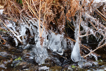icicles on the grass