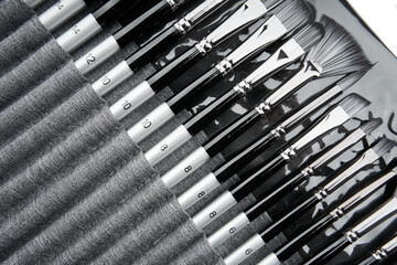 Different brushes with paints on white background. View of various professional paint brushes isolated on white. Set of brushes for painting in a case
