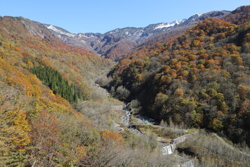 石川県道33号白山公園線沿いの紅葉（石川県白山市）