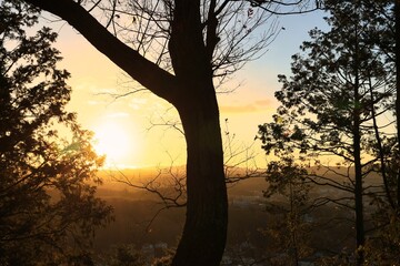 Obraz na płótnie Canvas 早朝の美しい初日の出と木々のシルエット
