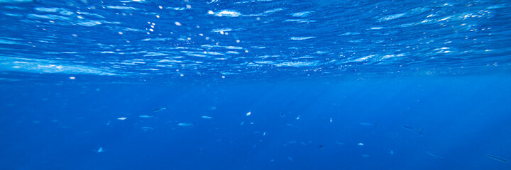 background sand on the beach underwater