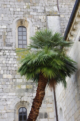 Santa Maria Arabona is an abbey dating from the late twelfth century belongs to the municipality of...