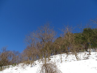 冬の里山