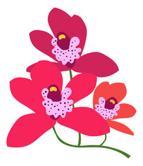 Bright red flower. Tropical forest orchid plant