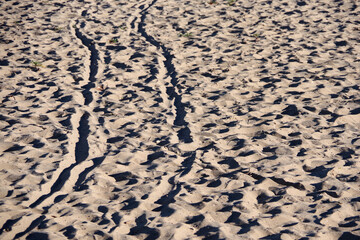 Full frame view of wheel traces in the sand of an ocean beach