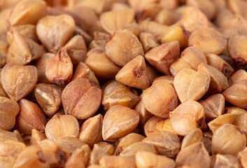 Close-up of buckwheat groats as background.