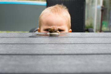 Sweet little baby boy observe snail outside in the garden. © Michaela