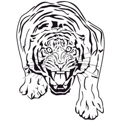 Tiger symbol. Icon, logo or tattoo. Vector illustration.