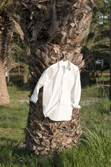 white shirts