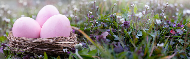 Pink easter eggs on a wildflower meadow. Easter decoration in spring. Horizontal close up with bokeh and short depth of focus.