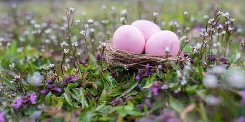 Pink easter eggs on a wildflower meadow. Easter decoration in spring. Close up with short depth of...