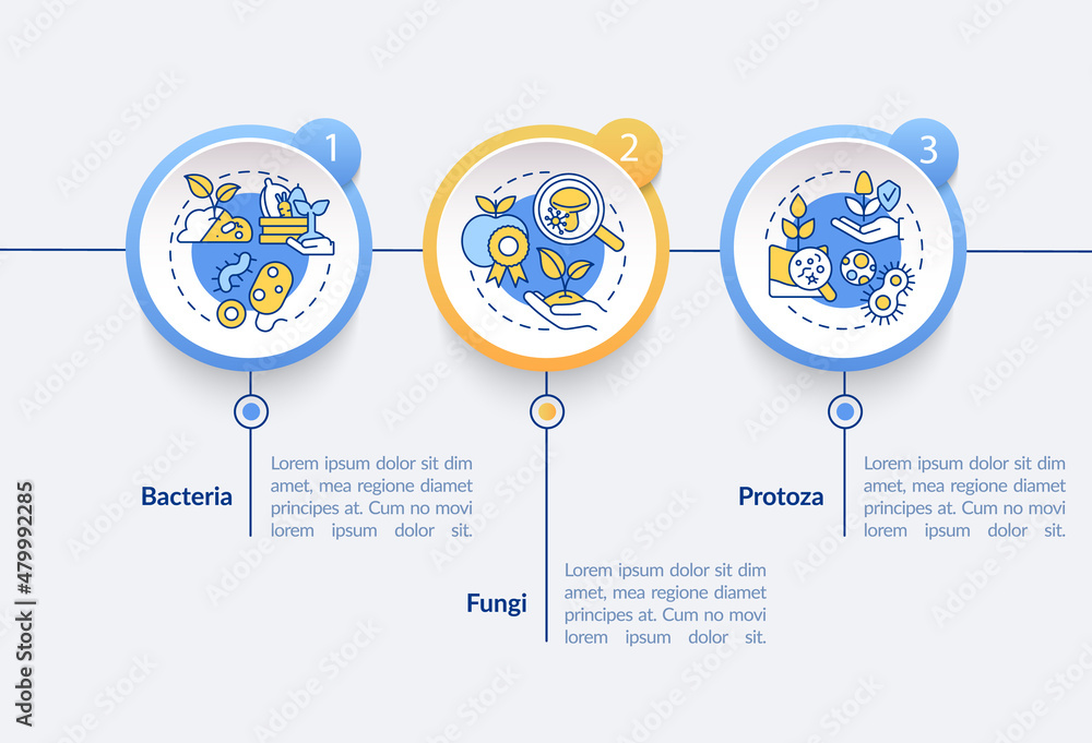 Poster microorganisms in agriculture circle infographic template. microbes. data visualization with 3 steps