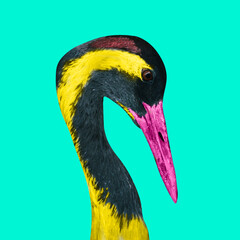 Multicolored crane on a colorful background. An exotic bird with a large beak and a long neck. Collage of contemporary art