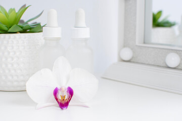 Obraz na płótnie Canvas white tulips in a vase