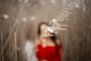 Young beautiful asian woman in long red dress near the reeds over winter background. Fairy tale girl on winter landscape.