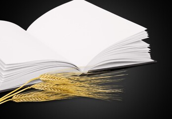Golden ears of wheat with bible book on the desk