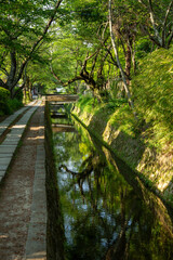 京都観光。南禅寺と銀閣寺を結ぶ哲学の道の風景