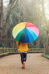 Rear view of a woman in yellow raincoat and colorful umbrella, walking in the rain in the city park in winter, fall or spring. Unrecognizable person.