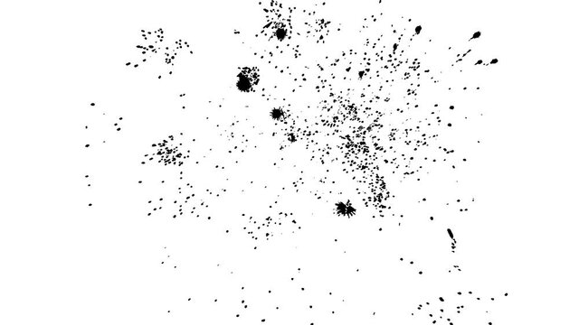 Flashes of splashes of black and white. Hilarious explosive isolated art fireworks.