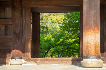 京都観光。南禅寺の門と新緑