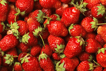 Top view of red ripe fresh strawberries. Food background.