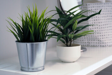 two green flowerpots in gray and white pots stand on a white shelf in the room. bedroom interior. side view