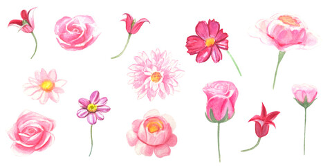 Set of watercolor flowers. Handpainted illustration of flowers isolated on a white background