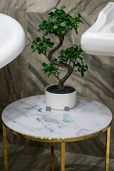 round bathroom vanity in white